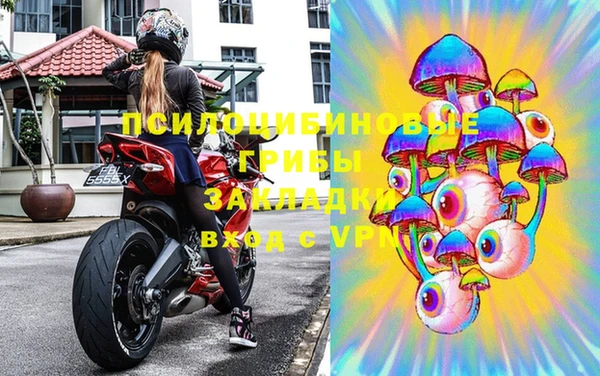 прущая мука Абаза