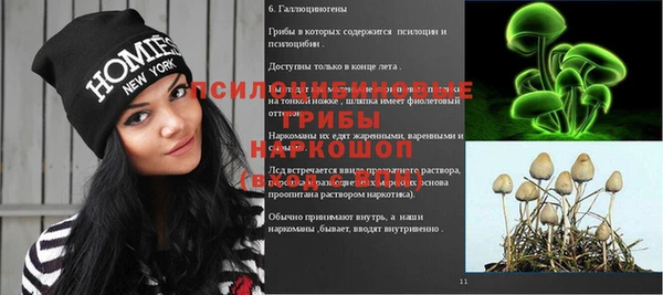 прущая мука Абаза