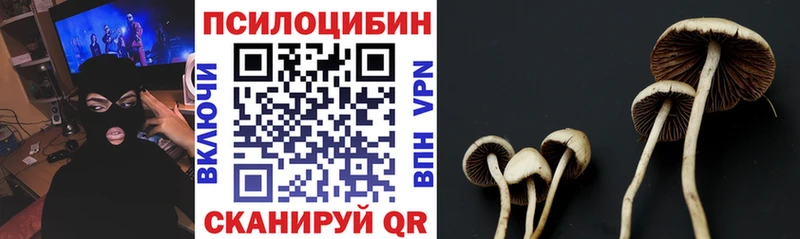 где купить наркотик  Разумное  блэк спрут маркетплейс  Псилоцибиновые грибы Psilocybine cubensis 