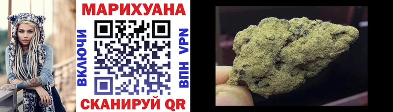 Канабис планчик  hydra   Разумное 